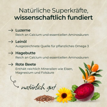Deutsche Grafik 'Natürliche Superkräfte, wissenschaftlich fundiert'; Bilder von Zuckerrübe, Sonnenblume und Leinsamen.