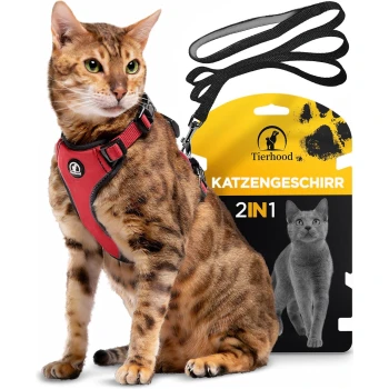 Eine Bengal-Katze, die ein rotes Geschirr trägt, sitzt neben einer gelb-schwarzen Verpackung mit der Aufschrift "Tierhood 2IN1 Katzengeschirr" mit einem Katzenbild.