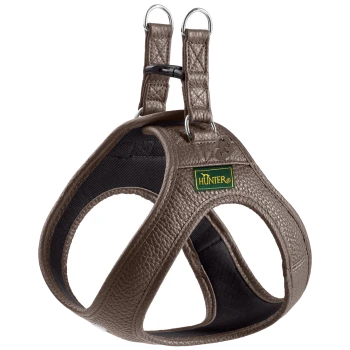 Braunes genarbtes Leder-Hundegeschirr mit Metall-D-Ringen und grünem 'HUNTER'-Label.