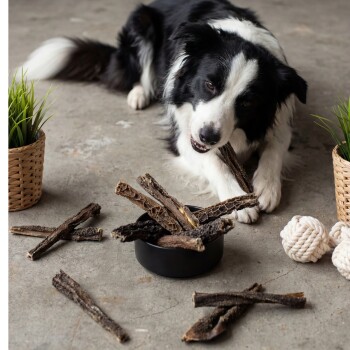 Eine Person hält verschiedene natürliche Hundekauartikel in Braun und Schwarz, mit einem goldenen Abzeichen, das "10 Jahre" und "Beste Qualität" sagt.
