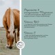 Eine Nahaufnahme eines Pferdes, das auf einer Wiese grast, mit Text, der die Vorteile von organischem und anorganischem Magnesium, Vitamin B12 und Vitamin E für Pferde beschreibt.