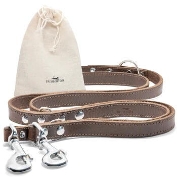 Braune Leder-Hundeleine mit silbernen Verschlüssen, begleitet von einem beigen Kordelzugbeutel mit dem Label 'FREUDENTIER'.