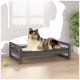 Ein Collie-Hund liegt auf einem stilvollen grauen Haustierbett in einem hellen Raum mit einem Fenster und einer grünen Pflanze in der Nähe. Ein Tennisball liegt auf dem Boden.