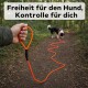 Leuchtend orangefarbene Hundeleine mit schwarzem Griff und silbernem Metallkarabiner.