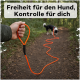 Leuchtend orangefarbene Hundeleine mit schwarzem Griff und silbernem Metallkarabiner.