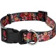 Halsband+Leine Set lachs L