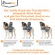 Ein Hund trägt ein graues ThunderShirt, mit Anweisungen zur Verwendung daneben. Der Text erklärt, wie das Shirt Komfort und Sicherheit bietet.