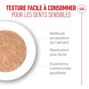 Galette ronde et molle de nourriture pour animal sur une assiette avec le texte en français « TEXTURE FACILE À CONSOMMER POUR LES DENTS SENSIBLES. »