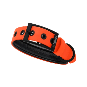 Helle orangefarbene Hundehalsband mit schwarzem Schnallenverschluss und Löchern, mit dem Text "THE DOG IDEA" auf der Schnalle.