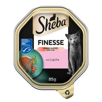 Sheba FINESSE Katzenfutter 85 g, mit Lachs‑Mousse ("mit Lachs"), Foto einer grauen Katze, MSC-Logo für nachhaltige Meeresfrüchte.