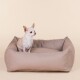 Ein kleiner beiger Chihuahua sitzt aufrecht in einem weichen, tanfarbenen Hundebett vor einem hellen Hintergrund.