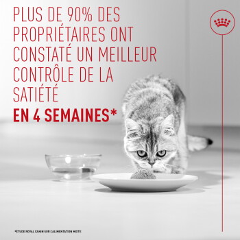 Chat reniflant de la nourriture dans une assiette avec un bol d'eau ; texte rouge « Plus de 90%... en 4 semaines » et logo Royal Canin