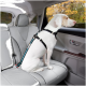 Ein weißer Hund mit einem schwarzen Geschirr sitzt auf dem Rücksitz eines Autos und schaut aus dem Fenster. Das Innere des Autos hat hellgraue Ledersitze.