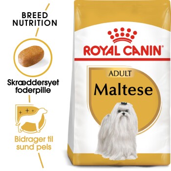 Royal Canin Bichon Maltais Adult pour chien - 3 x 1,5 kg