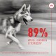 Een rennende Siberische Husky in beweging, met vetgedrukte rode tekst die "89% VAN DE EIGENAREN IS TEVREDEN*" aangeeft, wat de tevredenheid van eigenaren aangeeft.