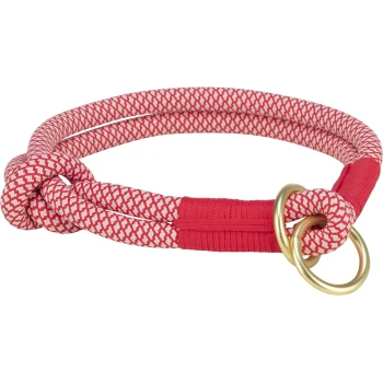 Rot-weißer geflochtener Hundehalsband mit Knotendesign und goldenen Metallringen.