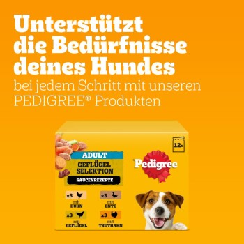 Pedigree Hundefutterbox mit einem glücklichen Hund, mit Text, der die Unterstützung für die Bedürfnisse von Hunden hervorhebt, Geschmäcker: Huhn, Ente, Truthahn und 12 Portionen.