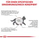 Illustration des Verdauungssystems einer Katze, die Probleme wie Erbrechen und Durchfall zeigt, mit deutschem Text über Diät und Anfälligkeit von Kätzchen.