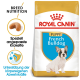Royal Canin Welpenfutter für Französische Bulldoggen, mit einem Bild eines Welpen, Details zur rassespezifischen Ernährung und Unterstützung für die Immunabwehr.