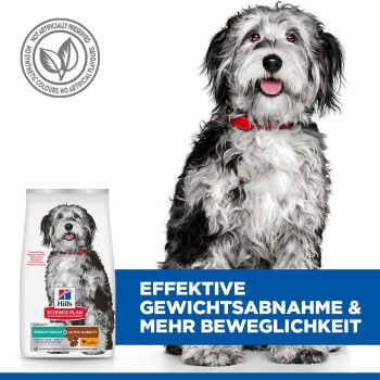 Lächender schwarz-weißer Hund mit rotem Halsband neben einer Hill's Science Plan Hundefuttertüte; deutscher Text über Gewichtsverlust und Mobilität.