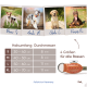 Vier Hunde, beschriftet nach Namen und Größe: Bruno S, Amala M, Greta L, Kaiser XL. Enthält eine Größentabelle mit Halsmessungen.