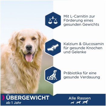 Hundefutter-Werbung, die Vorteile hervorhebt: L-Carnitin für das Gewichtsmanagement, Calcium & Glucosamin für die Knochen und Probiotika für die Verdauung.