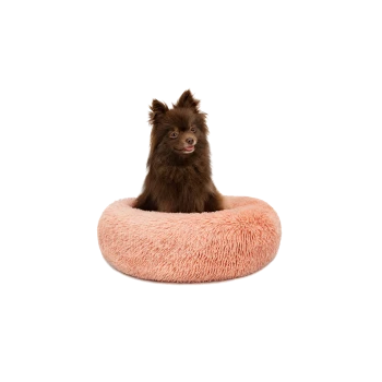 Ein flauschiger brauner Pomeranian-Hund, der bequem in einem runden, weichen, pfirsichfarbenen Haustierbett sitzt.