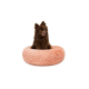 Ein flauschiger brauner Pomeranian-Hund, der bequem in einem runden, weichen, pfirsichfarbenen Haustierbett sitzt.