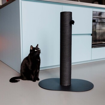 Eine schwarze Katze sitzt neben einem hohen, schwarzen Kratzbaum mit einem baumelnden Ball, vor einem hellblauen Küchenhintergrund.