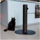Eine schwarze Katze sitzt neben einem hohen, schwarzen Kratzbaum mit einem baumelnden Ball, vor einem hellblauen Küchenhintergrund.