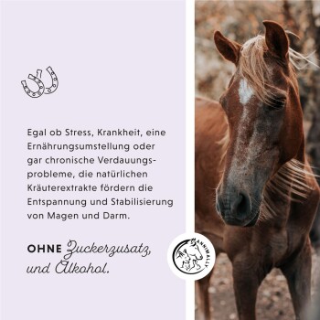 Nahaufnahme des Gesichts eines braunen Pferdes mit verschwommenem Hintergrund; der Text erwähnt Kräuterextrakte für Entspannung und Verdauungsgesundheit.