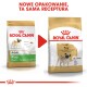 Obraz dwóch torebek karmy dla psów Royal Canin dla mopsów, prezentujących nowy design opakowania. Tekst brzmi "NOWE OPAKOWANIE, TA SAMA RECEPTURA."