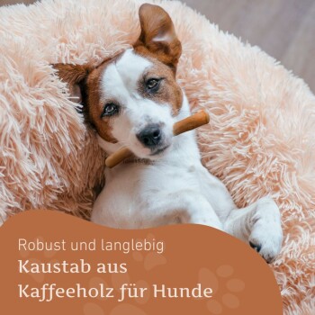 Ein entspannter Hund auf einer flauschigen Decke, der an einem Kaffeestick kaut. Text: "Robust und langlebig, Kaustab aus Kaffeeholz für Hunde."