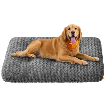 Golden Retriever Hund trägt ein orangefarbenes Bandana und liegt auf einem großen grauen, strukturierten Haustierbett.