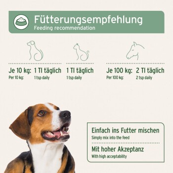 Fütterungsempfehlungstabelle für Haustiere, die die tägliche Dosierung detailliert: 1 Teelöffel für alle 10 kg, 2 Teelöffel für 100 kg, mit Anweisungen zum Mischen in das Futter.