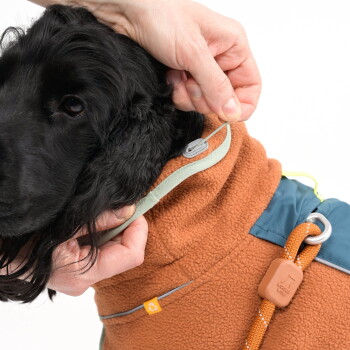 Schwarzer Hund trägt eine braune Fleecejacke mit angeleintem Halsband, Hände justieren den Kragen der Jacke, "Wooly Wolf" sichtbar am Leinenclip.