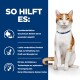 Eine Katze sitzt aufrecht vor einem blauen Hintergrund, mit Text, der die Vorteile eines Haustierfutterprodukts beschreibt, einschließlich der Förderung eines gesunden Appetits und Energie.