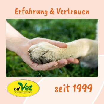 Eine menschliche Hand hält sanft die Pfote eines Hundes auf grünem Gras, mit dem Text 'Erfahrung & Vertrauen' und 'seit 1999' darüber.