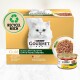 Pudełko karmy dla kotów Purina Gourmet Gold z białym kotem, oznaczone "Succulent Delights," zawierające kurczaka, łososia, wołowinę i ryby morskie.
