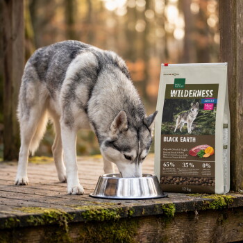 Husky frisst aus einer Metallschüssel auf einer Holzterrasse neben einem Sack mit der Aufschrift 'WILDERNESS Black Earth' Hundefutter (65%/35%/0%, 12 kg). – KI-generiert