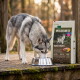 Husky je z metalowej miski na drewnianym tarasie obok worka karmy oznaczonego „WILDERNESS Black Earth” (65%/35%/0%, 12 kg).