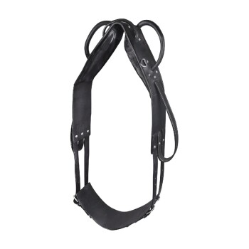 Schwarzes Leder-Hundegeschirr mit verstellbaren Riemen und Metallringen zur Leinenbefestigung, entworfen für Komfort und Kontrolle.