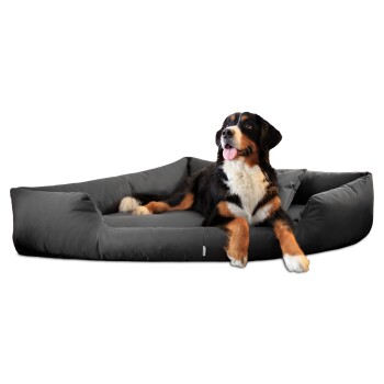 TRIVIA orthopädisches Hundebett schwarz/ graphit 1 m, 25 cm, 1 m