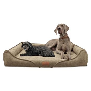 Zwei Hunde, ein kleiner schwarzlockiger Hund und ein großer grauer Weimaraner, liegen auf einem plüschigen beigen Hundebett mit einem Lederschild.