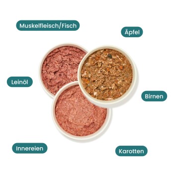 Drei Schalen mit Tierfutter mit Etiketten: "Muskel Fleisch/Fisch," "Äpfel," "Birnen," "Leinöl," "Innereien," und "Karotten."