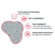 Litière PRIMOX au parfum de talc pour bébé au silicate 4x12 kg