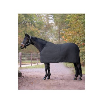 Ein schwarzes Pferd, das eine passende schwarze Decke trägt, steht auf einem Schotterweg, umgeben von Bäumen, und zeigt sein glänzendes Fell und Halfter.