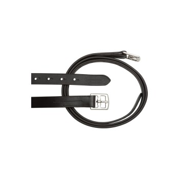 Schwarze Leder-Hundeleine mit einer silbernen Schnalle, die mehrere Einstelllöcher für die Größenanpassung aufweist.