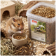 Hamster frisst Mehlwürmer aus einer Schale neben einem durchsichtigen Behälter mit der Aufschrift "PANTO Soldatenfliegenlarven" auf Holzspänen.
