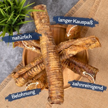 Natürliche Hundekauartikel auf einem Holzbrett angeordnet, mit Etiketten, die "natürlich", "langer Kauspaß", "Belohnung" und "zahreinigend" anzeigen.